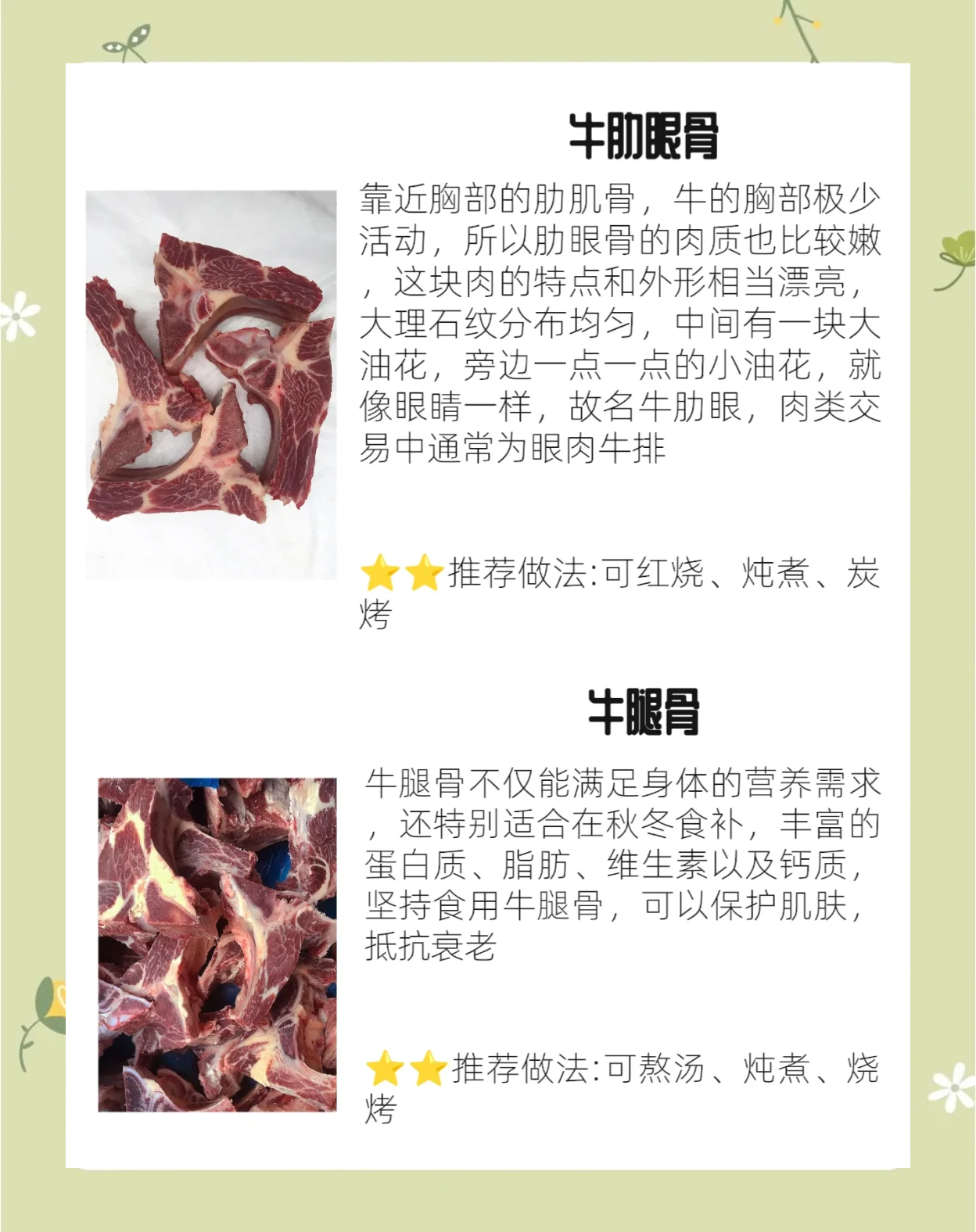 牛骨头的家常做法(牛骨头的家常做法儿童版)