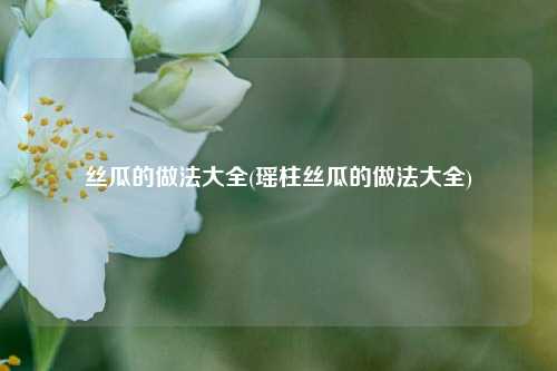 丝瓜的做法大全(瑶柱丝瓜的做法大全)