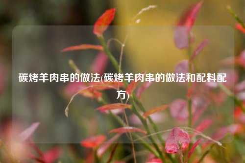 碳烤羊肉串的做法(碳烤羊肉串的做法和配料配方)