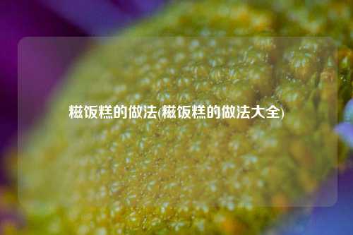 糍饭糕的做法(糍饭糕的做法大全)