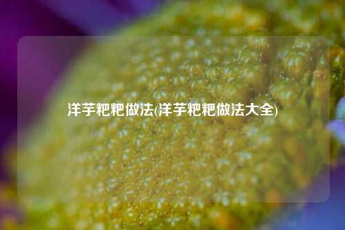洋芋粑粑做法(洋芋粑粑做法大全)