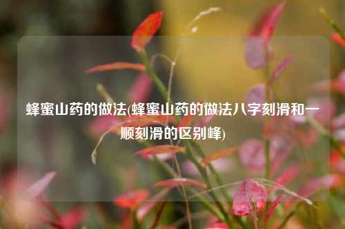 蜂蜜山药的做法(蜂蜜山药的做法八字刻滑和一顺刻滑的区别峰)