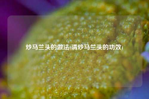 炒马兰头的做法(清炒马兰头的功效)