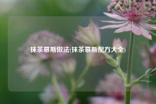 抹茶慕斯做法(抹茶慕斯配方大全)