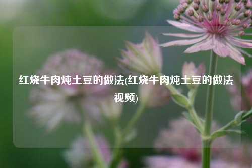 红烧牛肉炖土豆的做法(红烧牛肉炖土豆的做法视频)