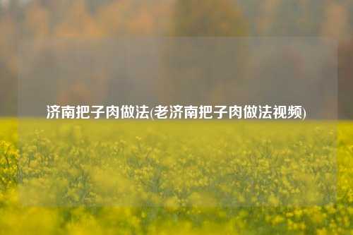 济南把子肉做法(老济南把子肉做法视频)