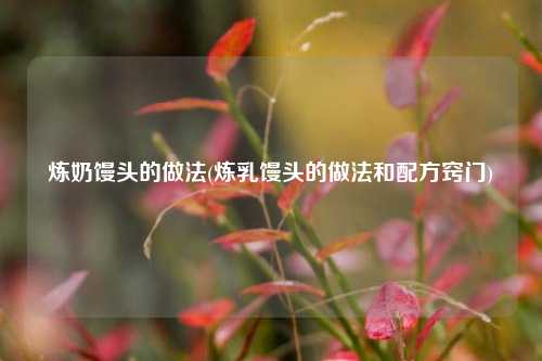 炼奶馒头的做法(炼乳馒头的做法和配方窍门)