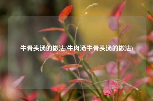 牛骨头汤的做法(牛肉汤牛骨头汤的做法)