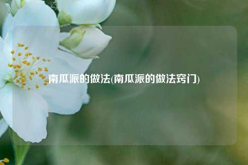 南瓜派的做法(南瓜派的做法窍门)