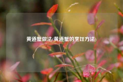 黄道蟹做法(黄道蟹的烹饪方法)