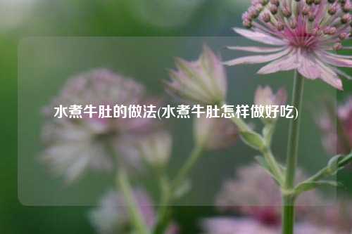 水煮牛肚的做法(水煮牛肚怎样做好吃)